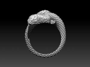 ring cobra 3D Print Model