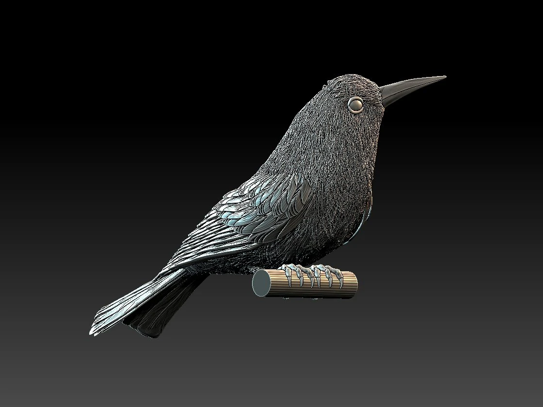 meropidae 3D Print Model .c4d .max .obj .3ds .fbx .stl .blend 