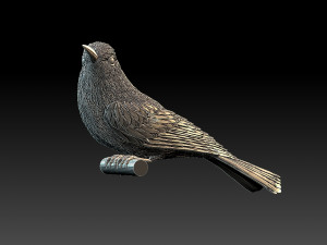 meropidae 3D Druckmodell