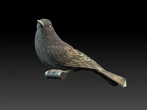 meropidae 3D Print Model