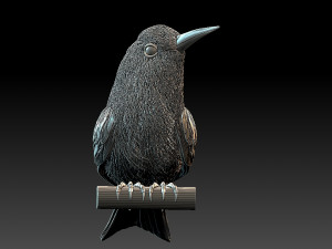 meropidae 3D Druckmodell