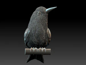 meropidae 3D Print Model