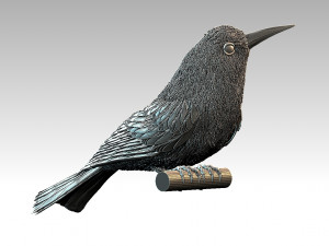 meropidae 3D Druckmodell