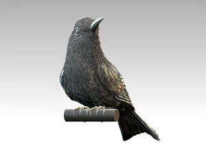 meropidae 3D Print Model