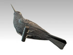 meropidae 3D Print Model