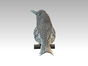meropidae 3D Druckmodell