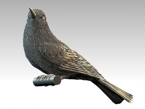 meropidae 3D Druckmodell
