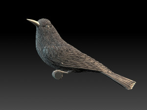 meropidae 3D Druckmodell