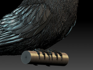 meropidae 3D Druckmodell