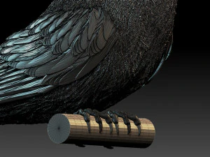 meropidae 3D Print Model