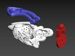Earrings parrot Modello di stampa 3D