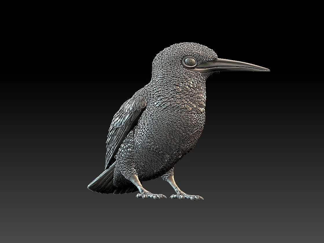 Kingfisher 3D Print Model .c4d .max .obj .3ds .fbx .stl .blend 