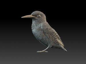 kingfisher Model do druku 3D
