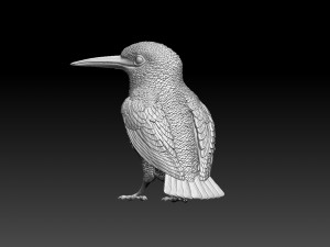 kingfisher Model do druku 3D
