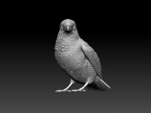 kingfisher Model do druku 3D