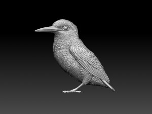 kingfisher Model do druku 3D