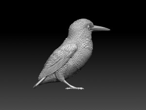 kingfisher Model do druku 3D