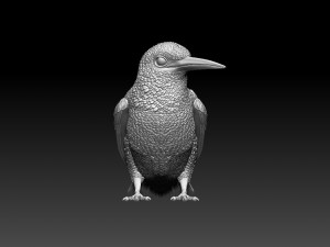 kingfisher Model do druku 3D