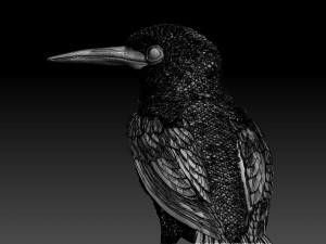 kingfisher Model do druku 3D