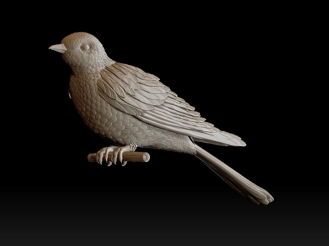 Cuckoo 3D Print Model .c4d .max .obj .3ds .fbx .stl .blend 