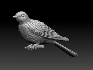 cuckoo 3D 打印模型