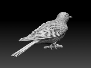 cuckoo 3D 打印模型