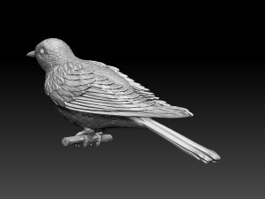 cuckoo 3D 打印模型