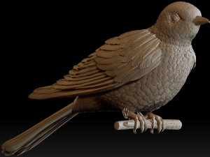 cuckoo 3D 打印模型