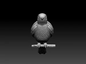 Cuckoo 3D Print Model
