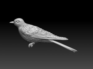 cuckoo 3D 打印模型