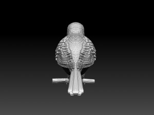 cuckoo 3D 打印模型