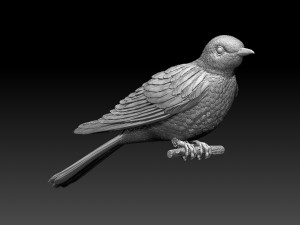 cuckoo 3D 打印模型