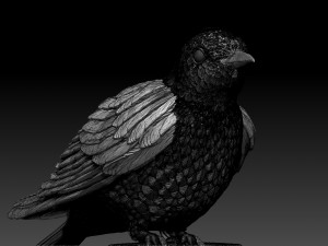 cuckoo 3D 打印模型