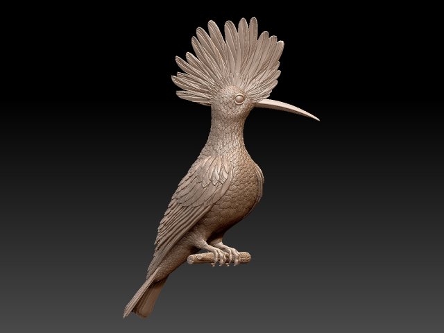 hoopoe Model do druku 3D .c4d .max .obj .3ds .fbx .stl .blend