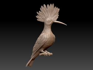 hoopoe Modelo de impresión 3D