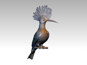 hoopoe Model do druku 3D