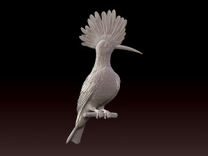 hoopoe Model do druku 3D