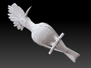 hoopoe Model do druku 3D