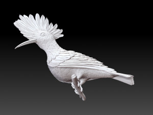 hoopoe Model do druku 3D