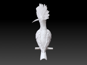 hoopoe Model do druku 3D