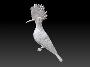 hoopoe Model do druku 3D