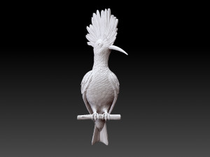 hoopoe Model do druku 3D