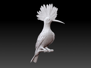 hoopoe Model do druku 3D