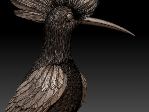 hoopoe Model do druku 3D