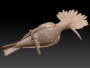 hoopoe Model do druku 3D