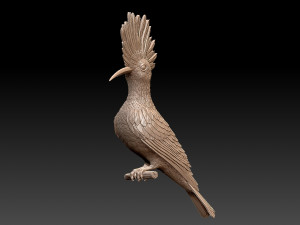 hoopoe Model do druku 3D