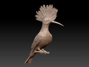 hoopoe Model do druku 3D