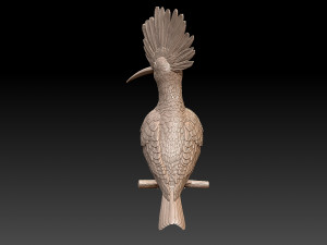 hoopoe Model do druku 3D