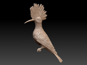 hoopoe Model do druku 3D
