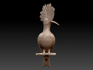 hoopoe Model do druku 3D